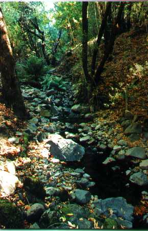 Adobe creek in autumn