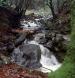Winter cascade of Adobe Creek in Lafferty Park