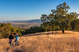 LandPaths outings to Petaluma's Lafferty Ranch on Sonoma Mountain. Photo by Scott Hess.