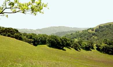 Expanse of public open space in Marin County