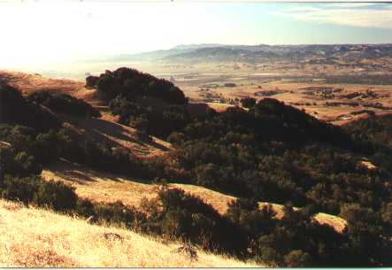 Adobe creek canyon in summer