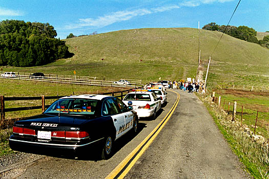 Police cars at Lafferty gate
