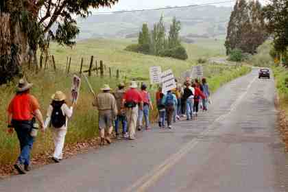 Group starting up Sonoma Mountain Road