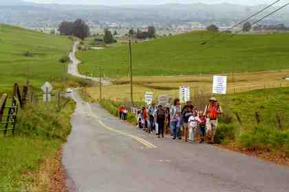 Continuing up Sonoma Mountain Road
