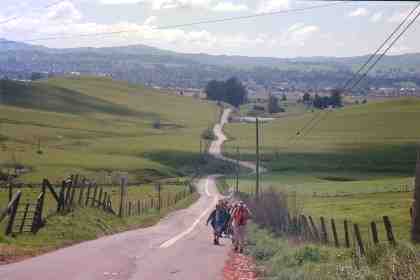 Climbing up Sonoma Mountain Road.