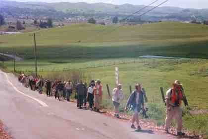 Group on Sonoma Mountain Road