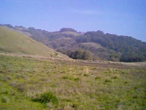 View of Lafferty from the gate.